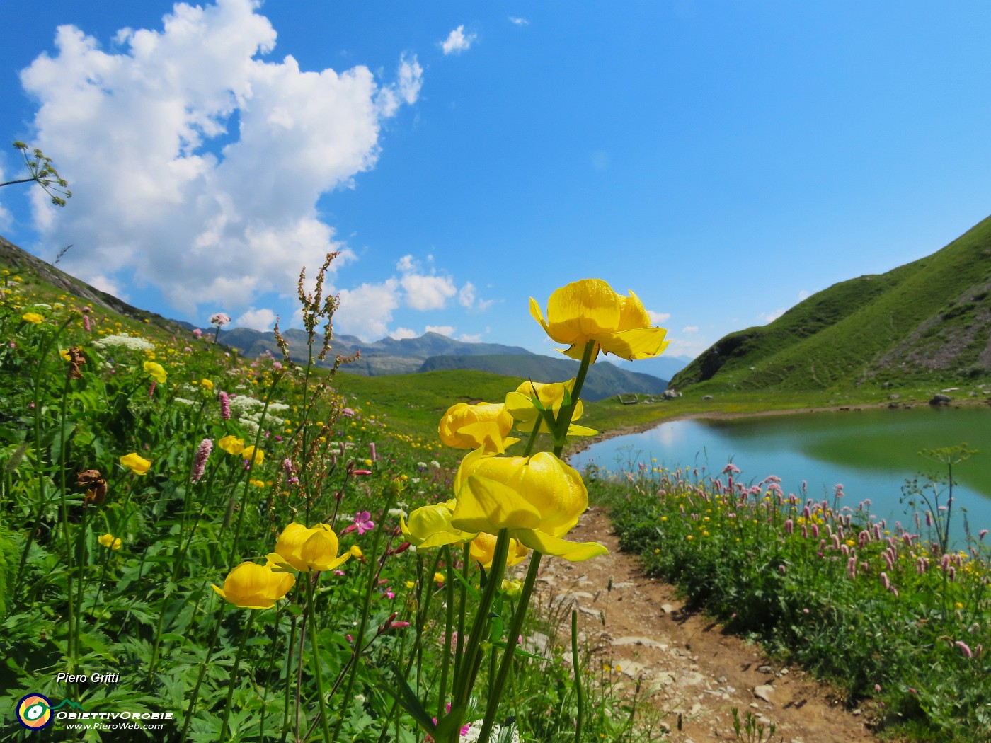 44 Distese di fiori dai fianchi della montagna alle rive del lago.JPG